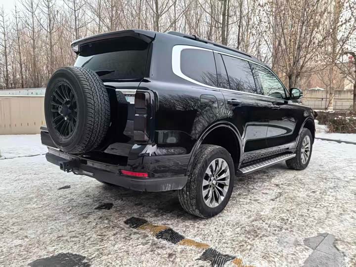 Tank 500 Hybrid 2025 2025款 Hi4-Z