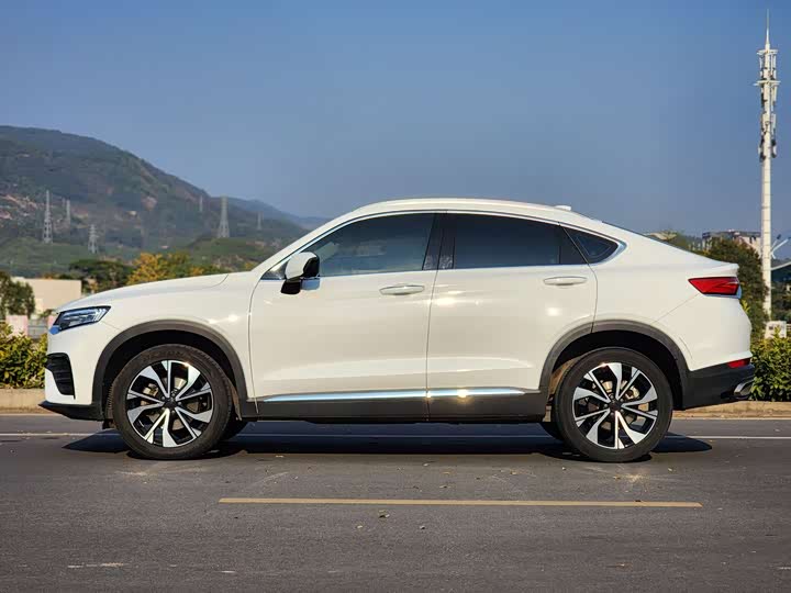 Geely Tugella S 2021 2021款 2.0TD DCT两驱闪电版