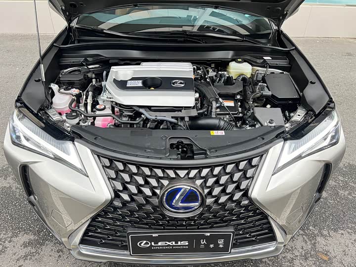 Lexus UX 2022 2022款 260h 探·酷版