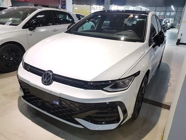 Volkswagen Golf 2025 2025款 300TSI R-Line