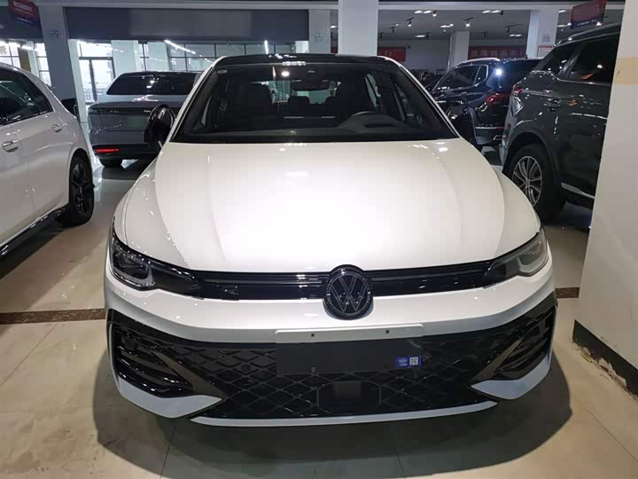 Volkswagen Golf 2025 2025款 300TSI R-Line