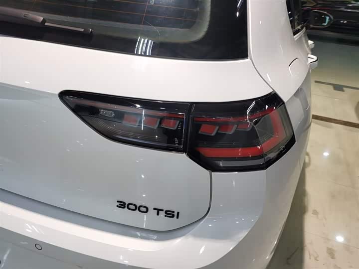 Volkswagen Golf 2025 2025款 300TSI R-Line