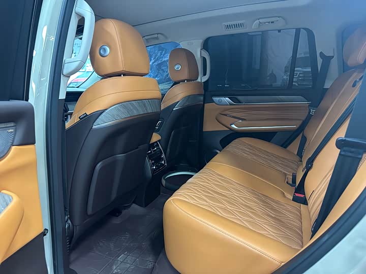 Tank 500 2023 2023款 3.0T 商务版 造境型 5座