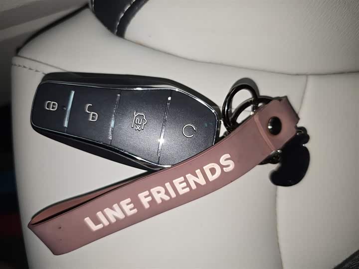 BYD Yuan Pro 2021 2021款 要爱一生版