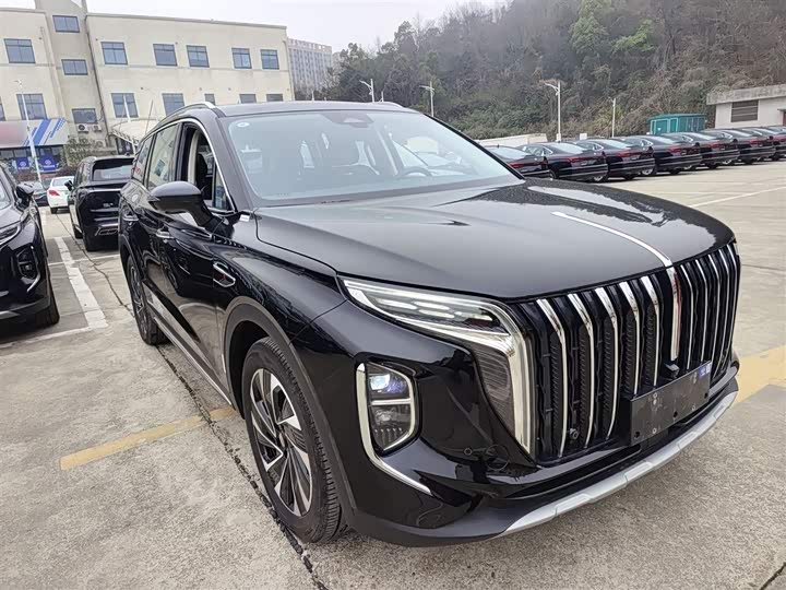 Hongqi HS7 Hybrid 2024 2024款 2.0T PHEV 四驱旗畅版 6座