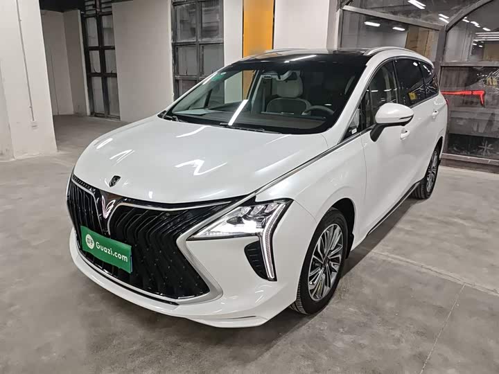 Dongfeng Forthing Yacht 2024 2024款 1.5T DCT 观海版