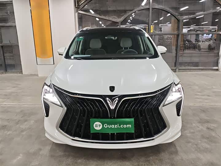 Dongfeng Forthing Yacht 2024 2024款 1.5T DCT 观海版