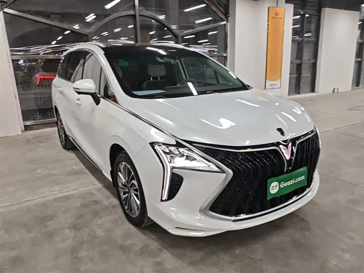 Dongfeng Forthing Yacht 2024 2024款 1.5T DCT 观海版