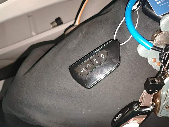 Dongfeng Forthing Yacht 2024 2024款 1.5T DCT 观海版