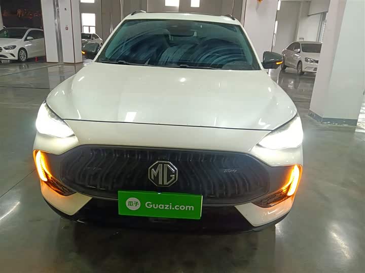 MG Motor Pilot 2021 2021款 300TGI 自动两驱Trophy智尊版