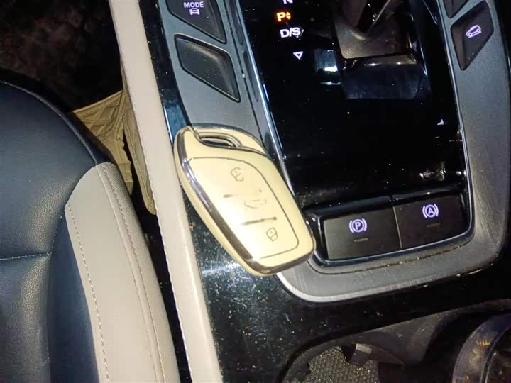 MG Motor Pilot 2021 2021款 300TGI 自动两驱Trophy智尊版