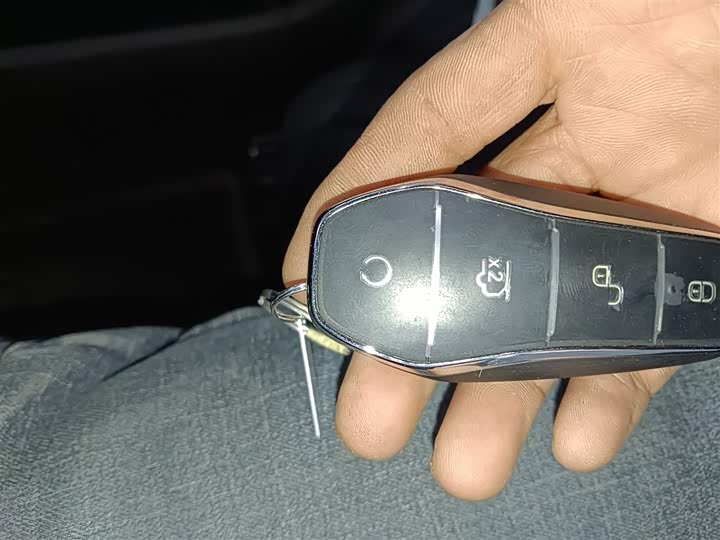 BYD Sea Lion 07 EV 2025 2025款 550四驱智驾版