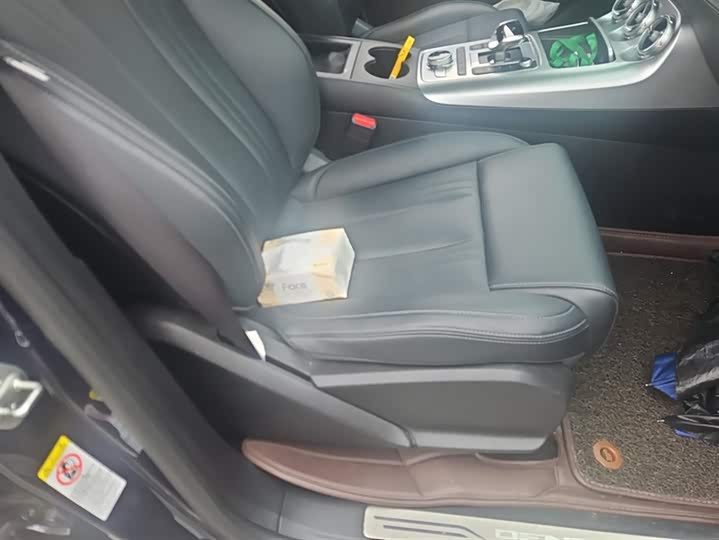 Denza X 2020 2020款 PHEV旗舰版