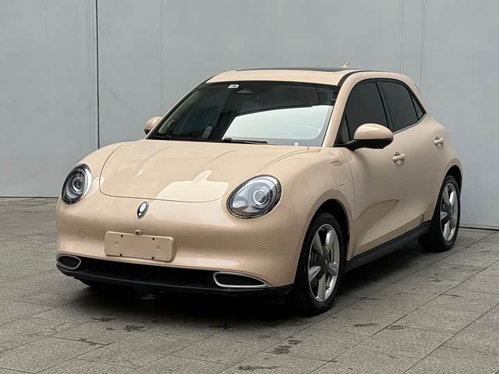 Ora Good Cat (03) 2023 2023款 401km标准续航 尊贵型 磷酸铁锂