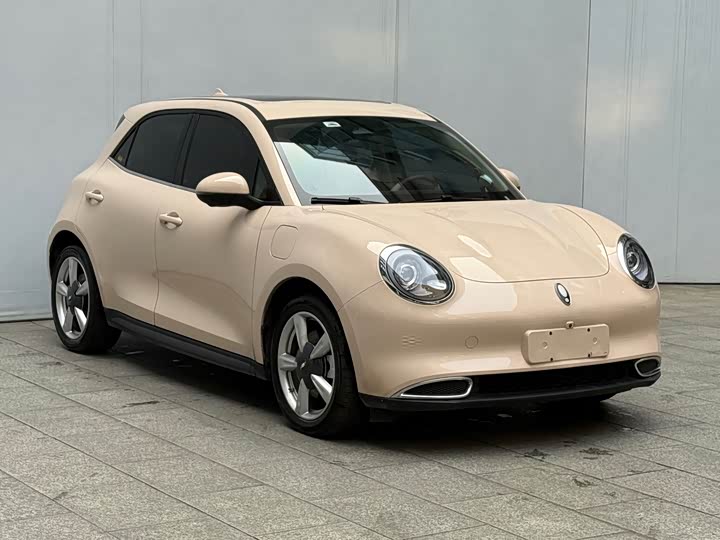 Ora Good Cat (03) 2023 2023款 401km标准续航 尊贵型 磷酸铁锂