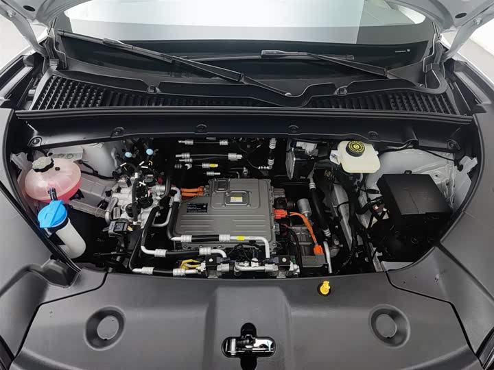 BYD Yuan Up 2025 2025款 智驾版 401KM 领先型