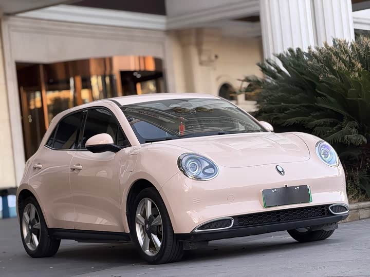 Ora Good Cat (03) 2023 2023款 501km长续航 豪华型 三元锂