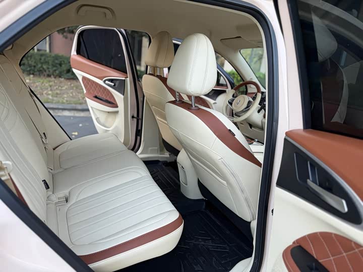 Ora Good Cat (03) 2023 2023款 501km长续航 豪华型 三元锂