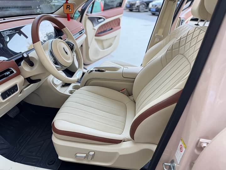 Ora Good Cat (03) 2023 2023款 501km长续航 豪华型 三元锂