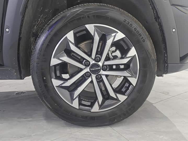 Haval H-Dog 2023 2023款 2.0T 四驱潮野Plus