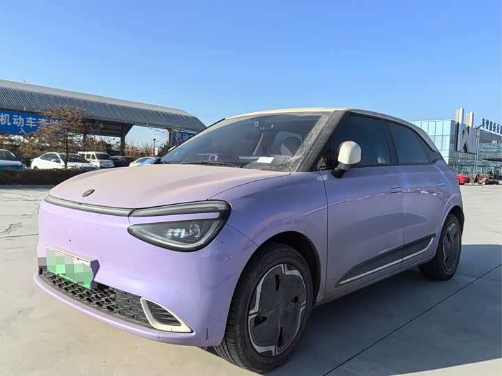 Dongfeng Nammi 01 2026 2026款 初心款 330Plus