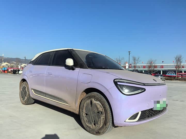 Dongfeng Nammi 01 2026 2026款 初心款 330Plus