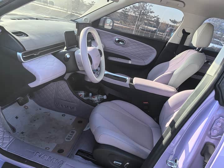 Dongfeng Nammi 01 2026 2026款 初心款 330Plus