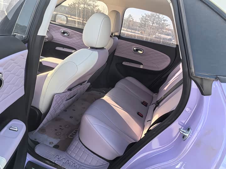 Dongfeng Nammi 01 2026 2026款 初心款 330Plus