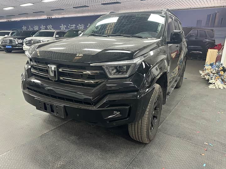 Tank 400 2025 2025款 2.0T 汽油版