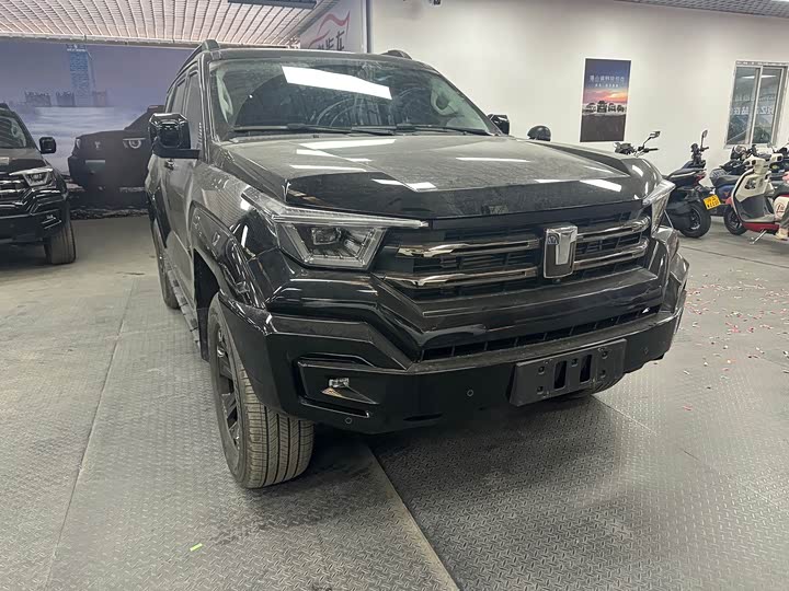 Tank 400 2025 2025款 2.0T 汽油版