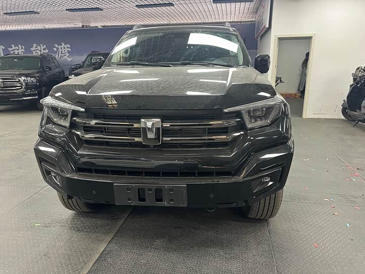 Tank 400 2025 2025款 2.0T 汽油版