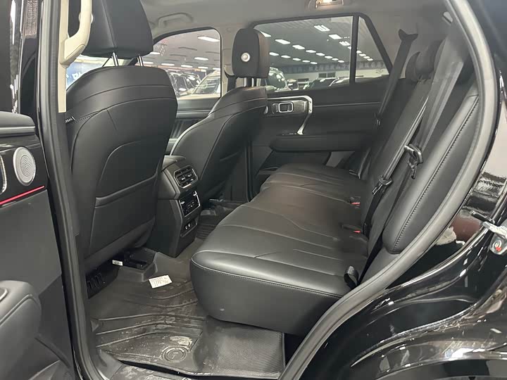 Tank 400 2025 2025款 2.0T 汽油版