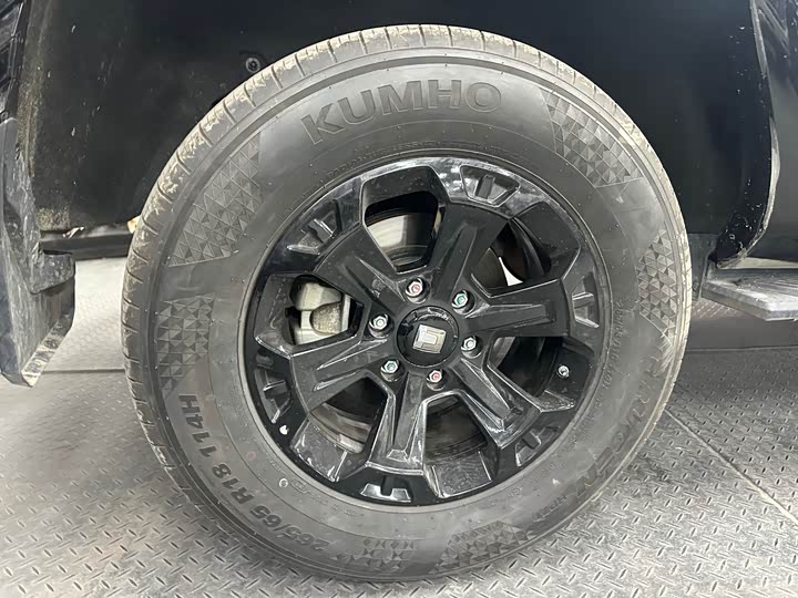 Tank 400 2025 2025款 2.0T 汽油版