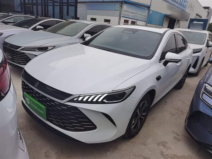 BYD Qin Plus 2025 2025款 DM-i 智驾版 120KM超越型