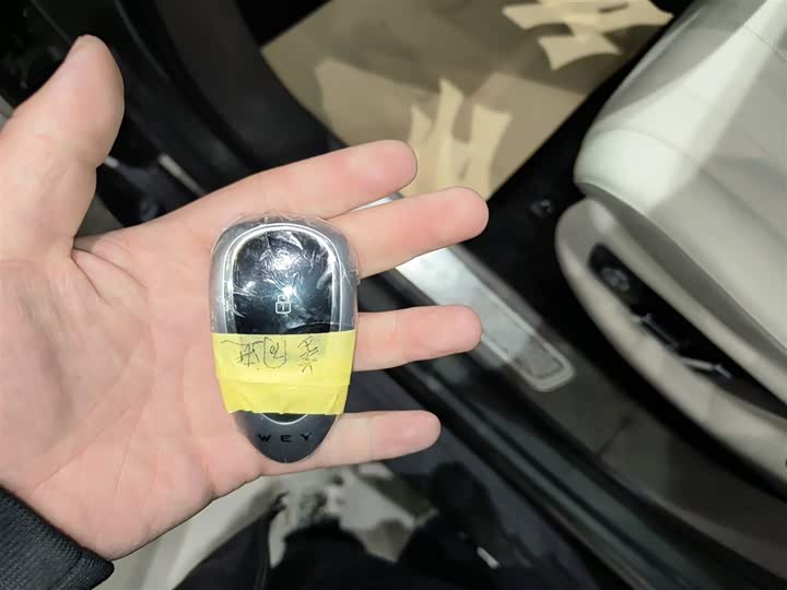 Wey Lanshan 2025 2025款 四驱智驾 Max