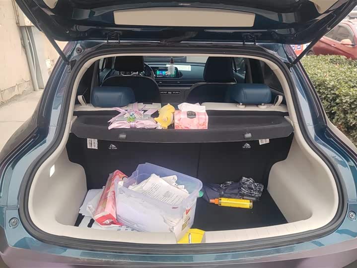 Ora Good Cat (03) 2024 2024款 401km 豪华型