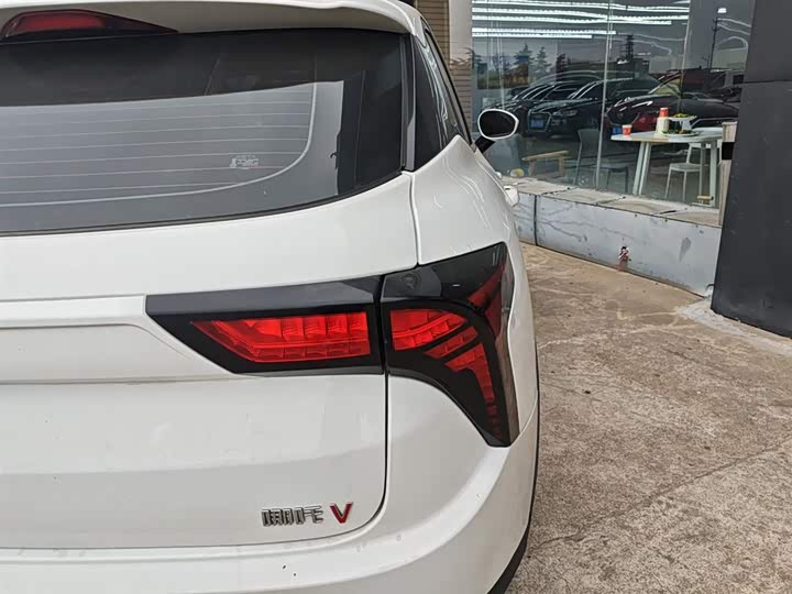 Hozon V 2022 2022款 潮 400 Lite