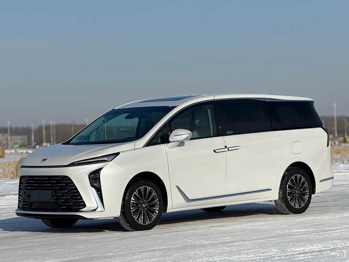 Buick GL8 ES 2025 2025款 陆尊 尊享版