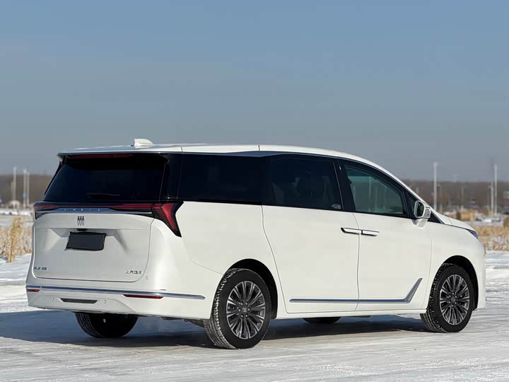 Buick GL8 ES 2025 2025款 陆尊 尊享版