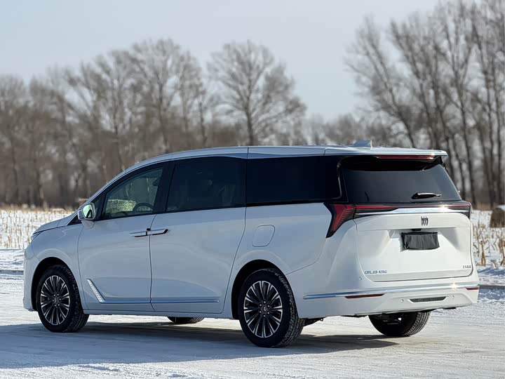 Buick GL8 ES 2025 2025款 陆尊 尊享版