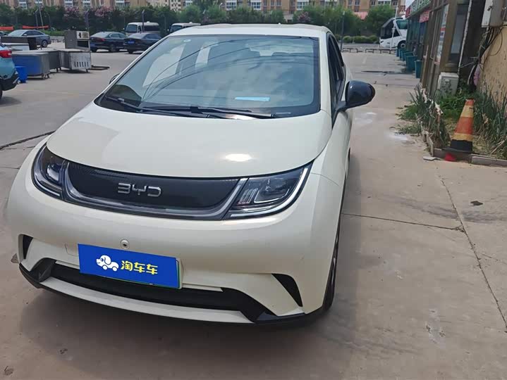 2025 BYD Dolphin