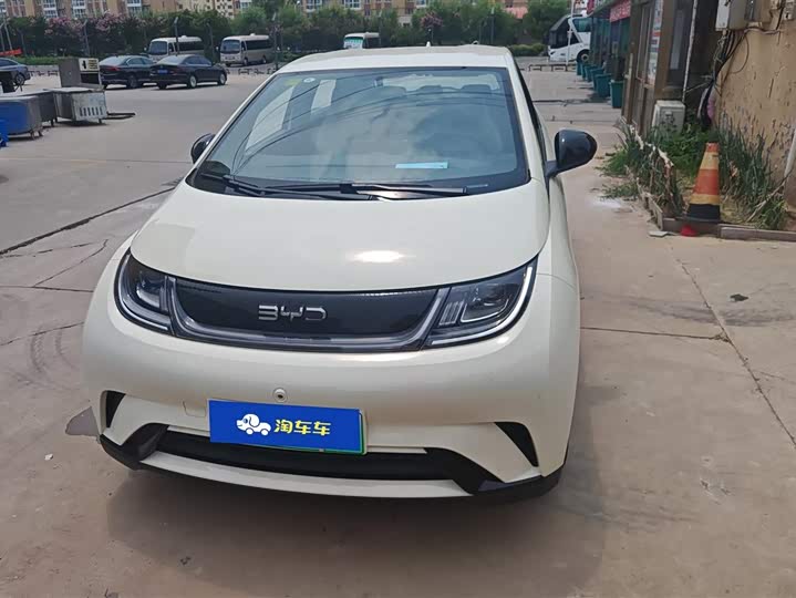 2025 BYD Dolphin