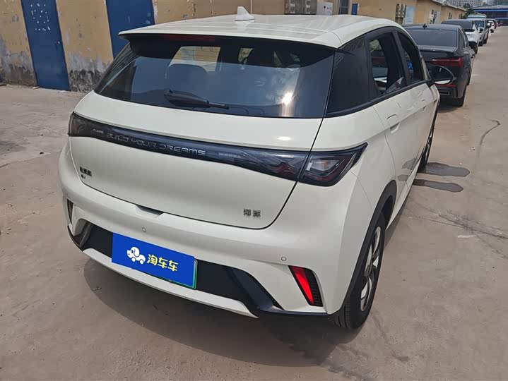 2025 BYD Dolphin