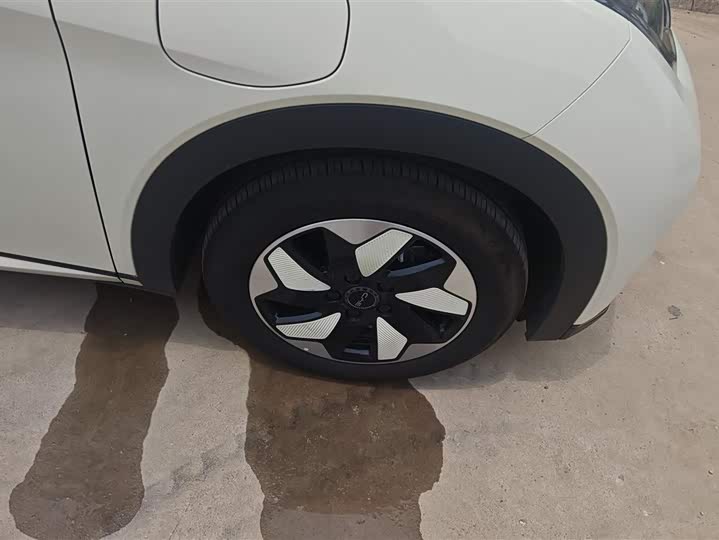 BYD Dolphin 2025 2025款 420km 时尚版