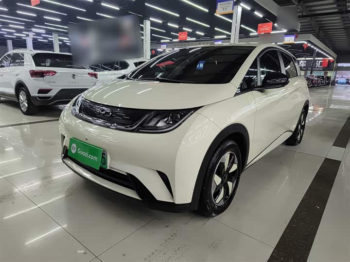 2025 BYD Dolphin