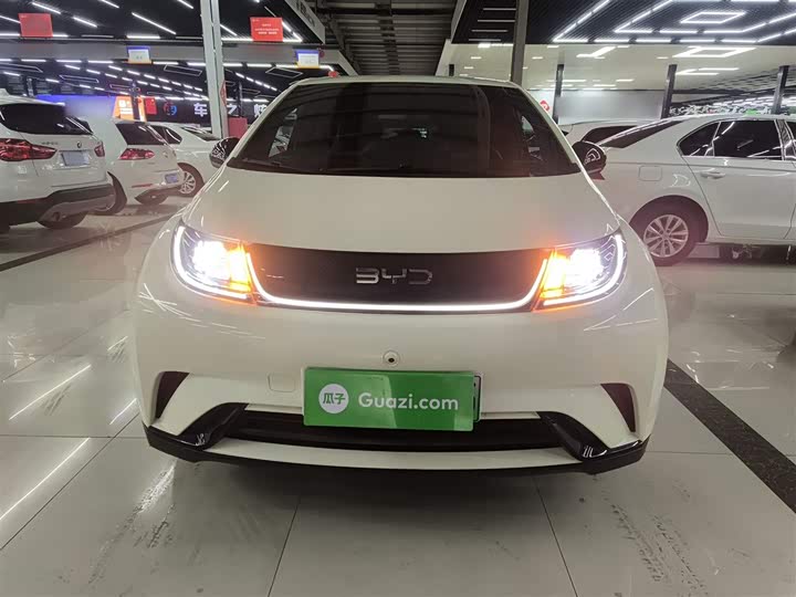 2025 BYD Dolphin