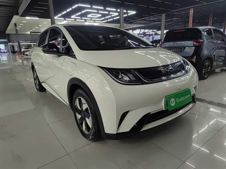 2025 BYD Dolphin