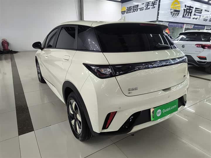2025 BYD Dolphin