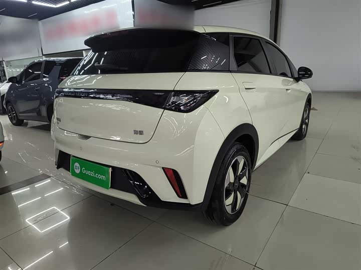 BYD Dolphin 2025 2025款 420km 自由版