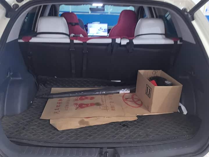 Geely Galaxy Geome 2025 2025款 310km 梦想版